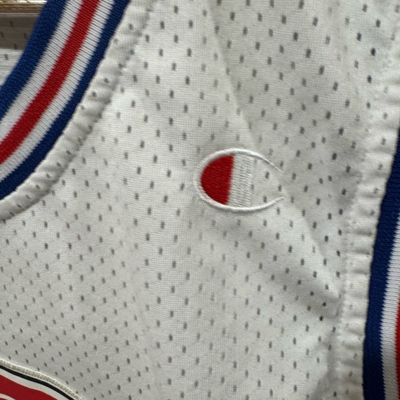 Champion Tune Squad Space Jam TAZ Basketball Jersey - Picture 4 of 9